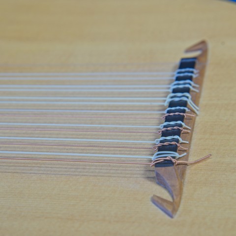 Photo 2 of lute ID 2