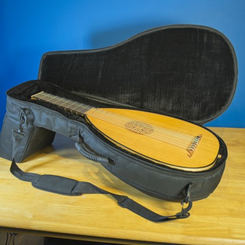 Photo 7 of lute ID 2