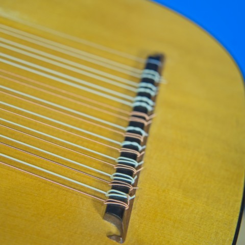 Photo 2 of lute ID 4