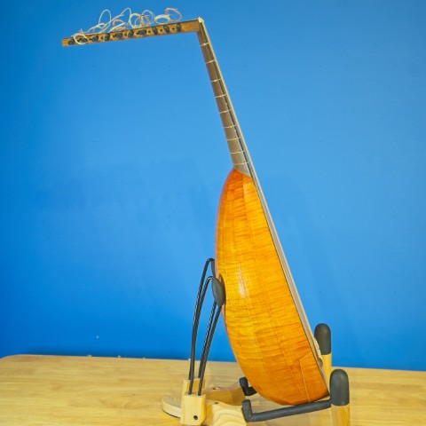 Photo 3 of lute ID 4